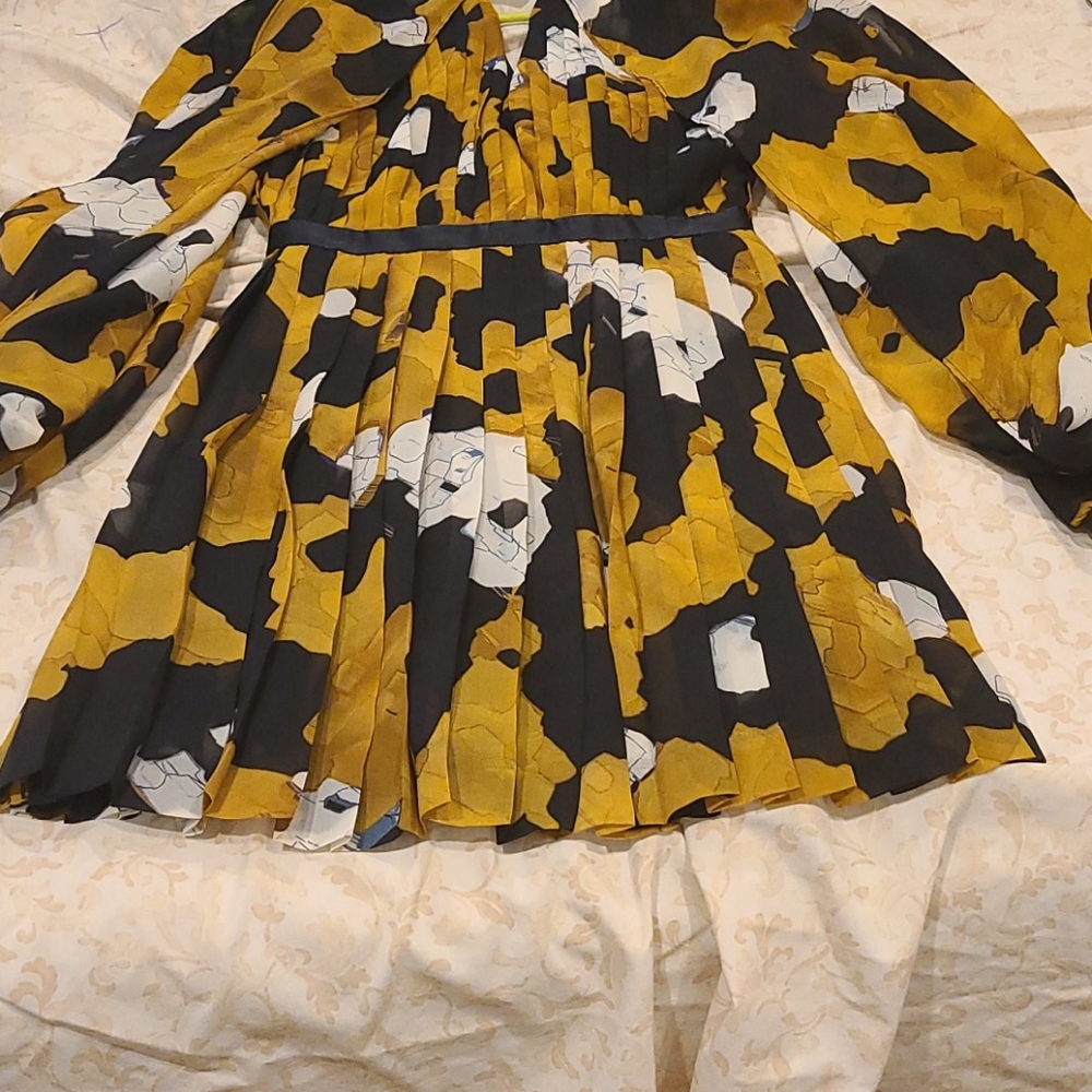Bebe printed pleated chiffon dress